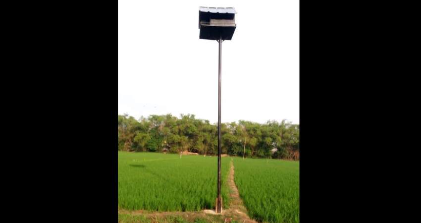 Rumah burung hantu yang terdapat di Desa Penggaron Kecamatan Mojowarno, Kabupaten Jombang.