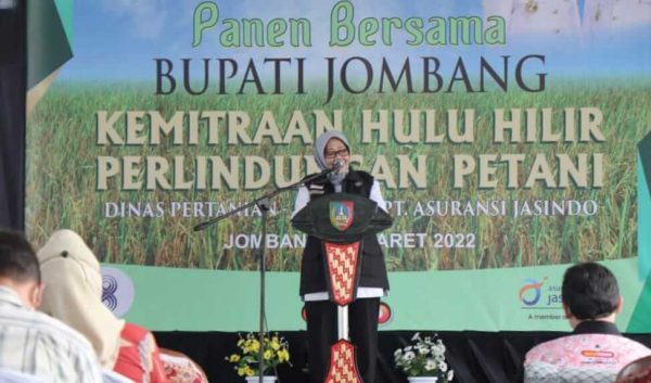 Bupati dan Wabup Jombang Hadiri Pelaksanaan Panen Padi Program Kemitraan Hulu Hilir Perlindungan Petani